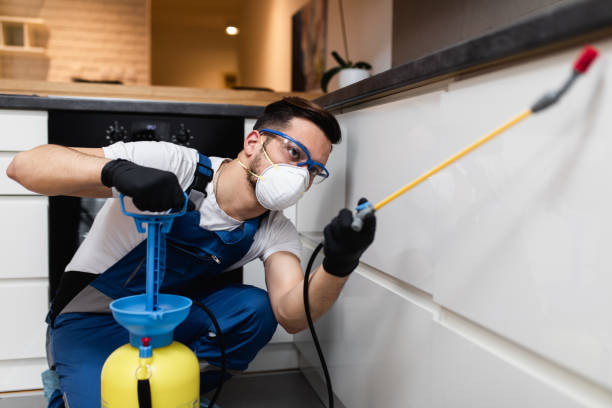 Best Wildlife Control Services  in Key Vista, FL