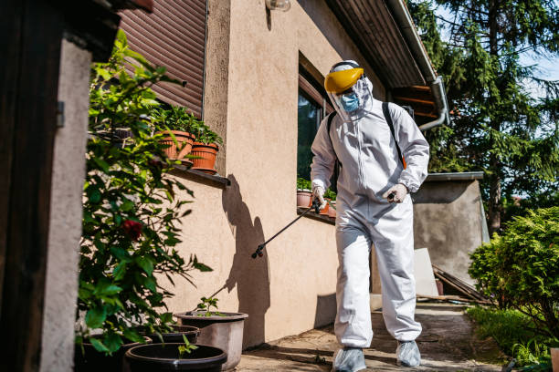 Best Cockroach Control Services  in Key Vista, FL
