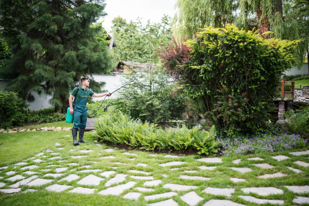 Best Local Pest Control Services  in Key Vista, FL