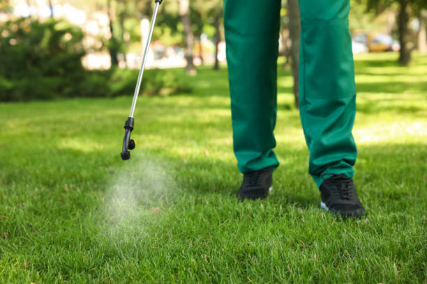 Best Pest Prevention Services  in Key Vista, FL