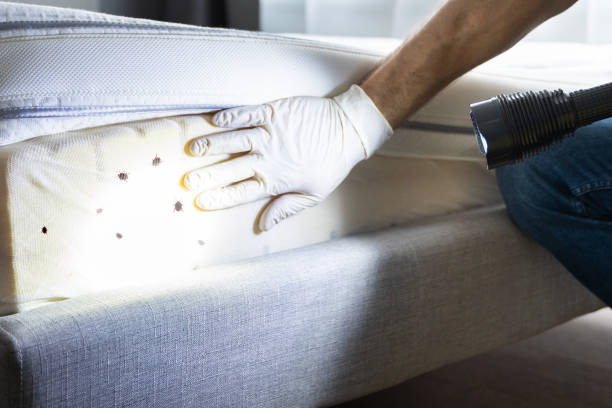 Best Pest Control Cost  in Key Vista, FL