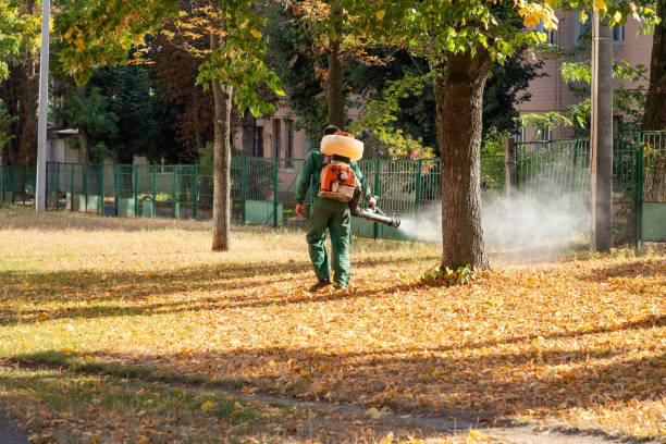 Best Rat Extermination Near Me  in Key Vista, FL