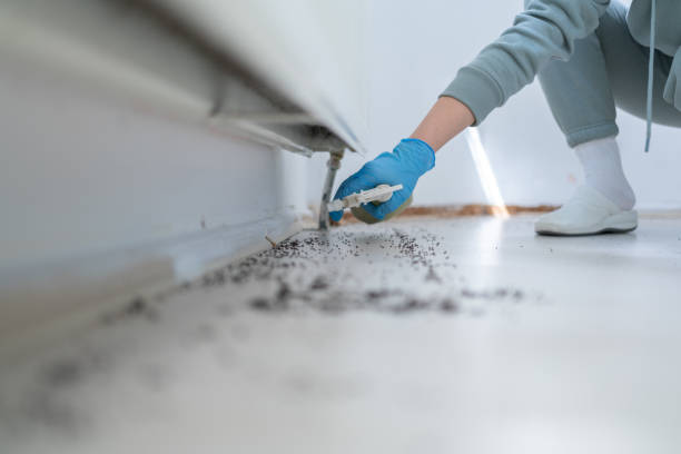 Pest Control Cost in Key Vista, FL